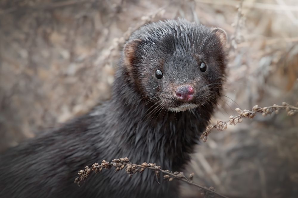 Photograph by Дарья