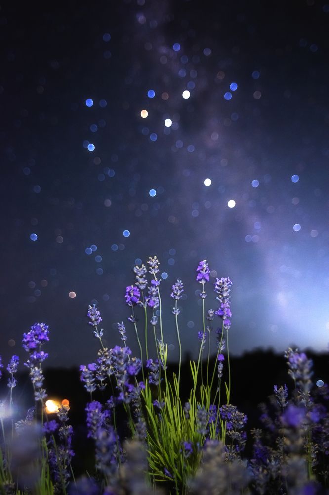 Photograph by Marcelo maturana