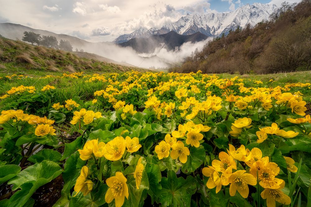 Фотография автора Kozlov Sergey