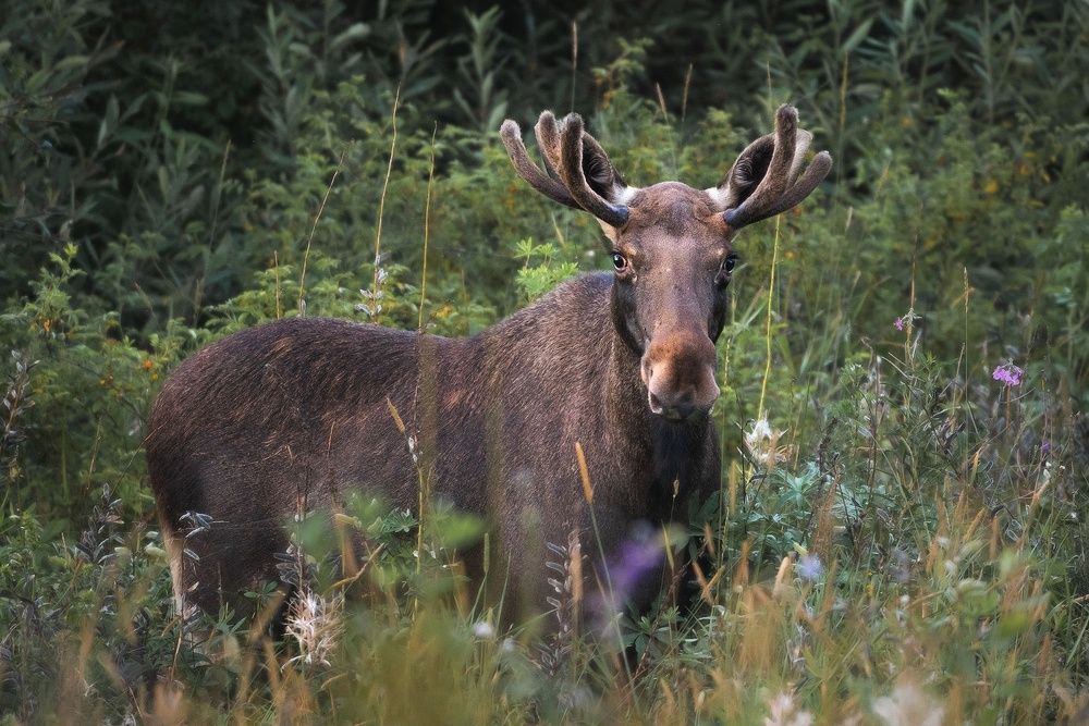 Photograph by Тябин Владислав