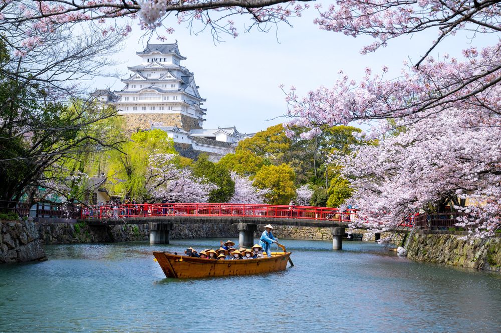 Фотография автора Viduranga Shan