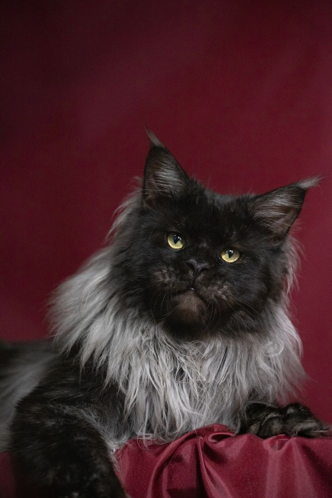 Фотография автора Карина Сагитова