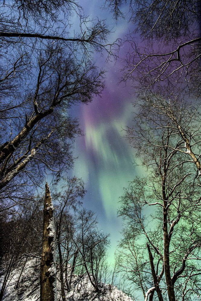 Photograph by Andrei Orlov