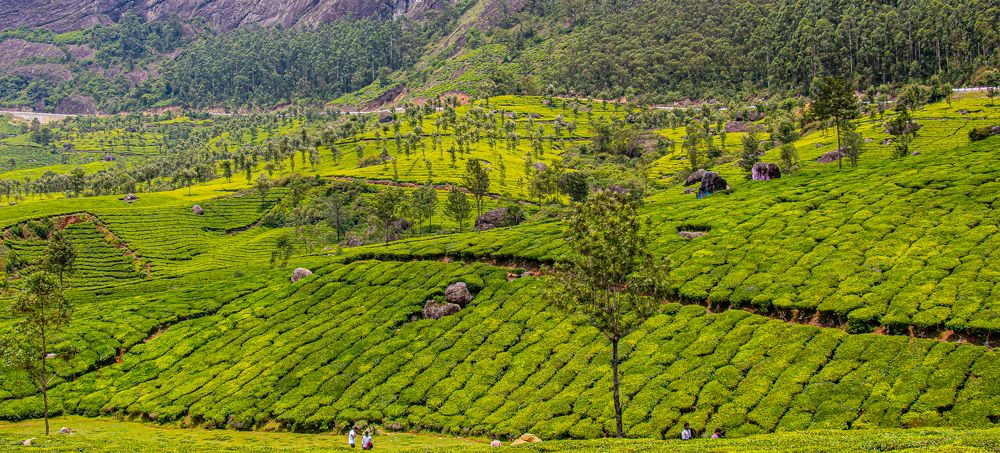 Photograph by Susobhan Biswas