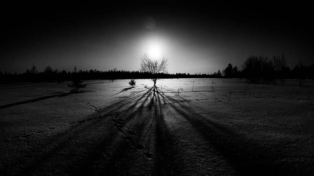 Фотография автора Михаил Кабанов