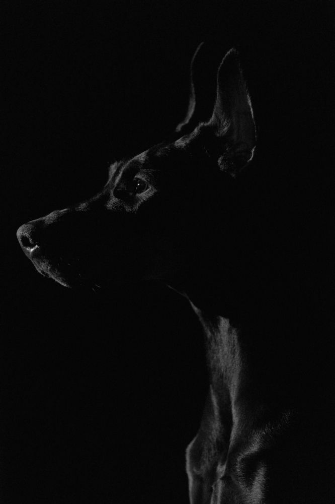 Photograph by Vladimir Fukalov