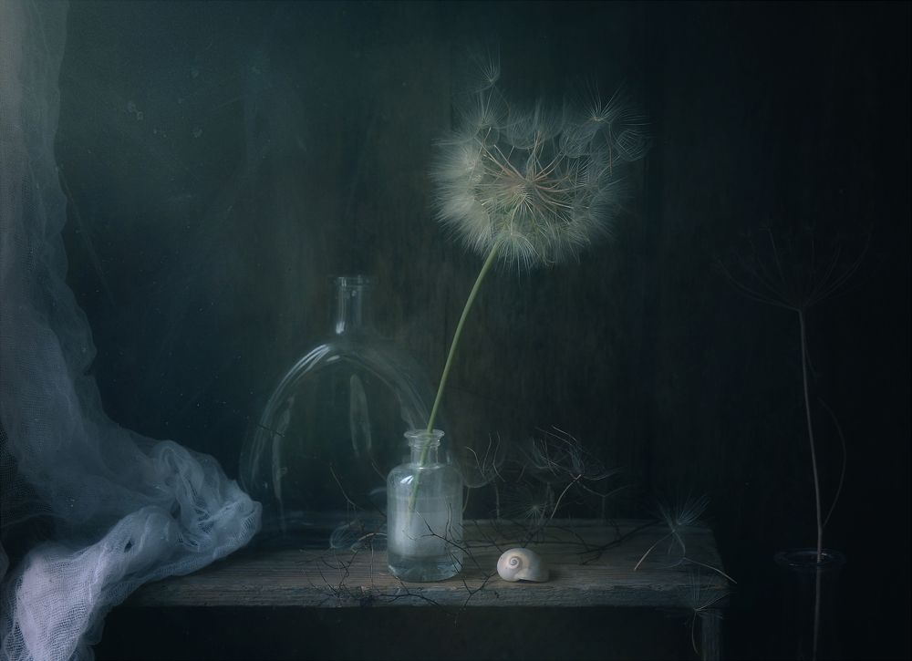 Photograph by Хромеев Александр