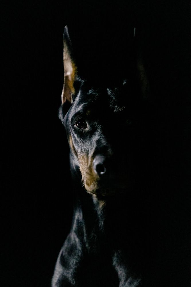 Photograph by Vladimir Fukalov