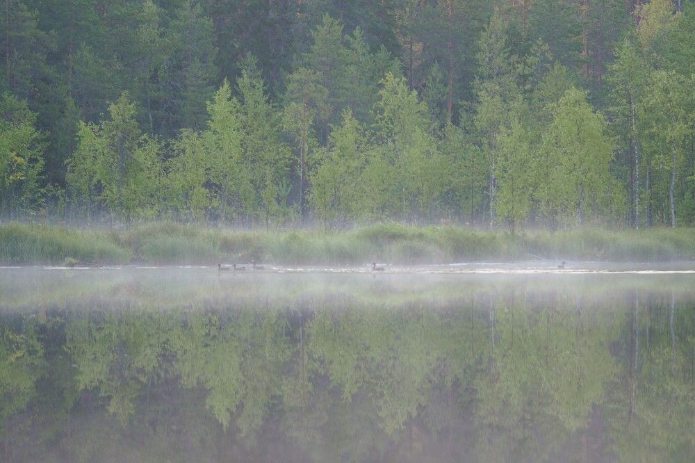 Photograph by Сергей Пушкин