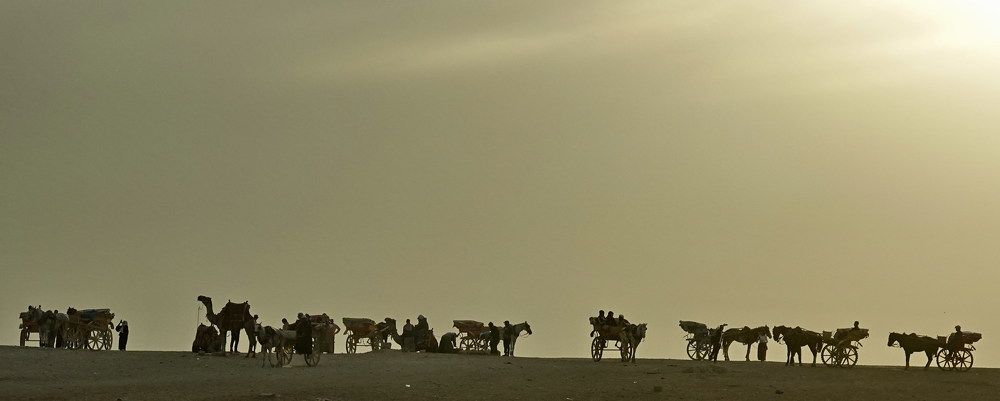 Фотография автора Алексей Голоушкин