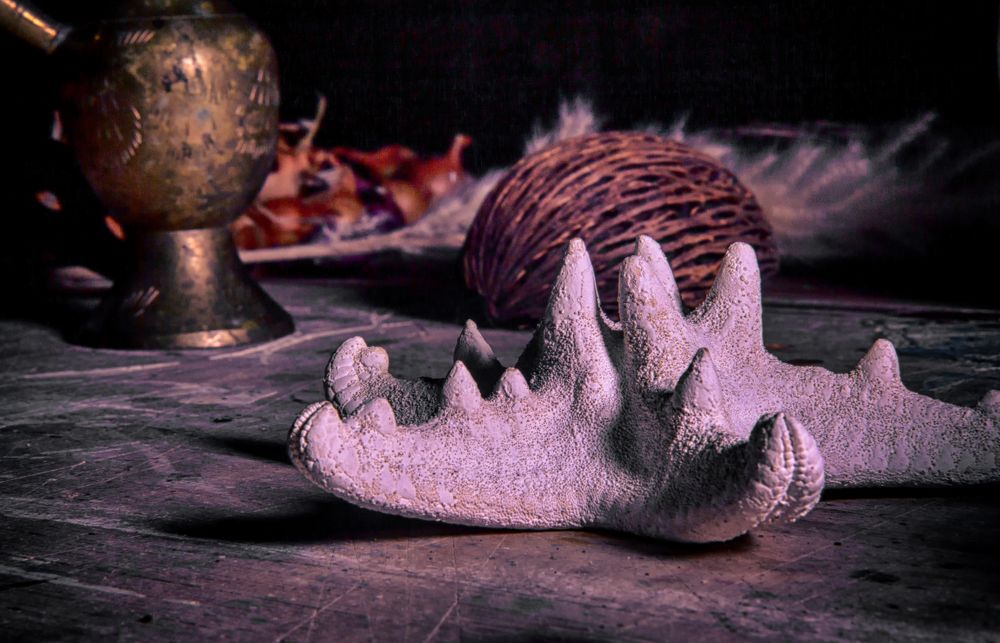 Photograph by Анна Липоткина