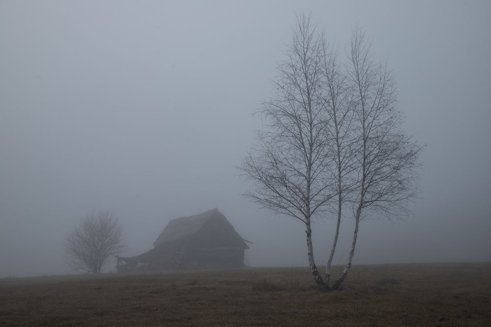 Photograph by Татьяна Алексеева