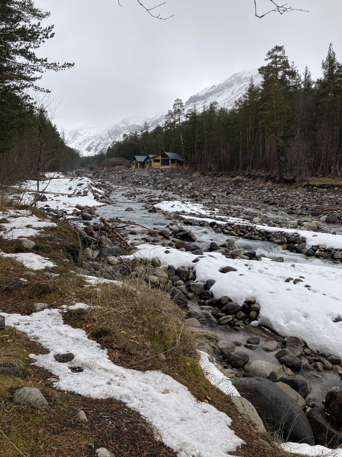 Photo #10402904