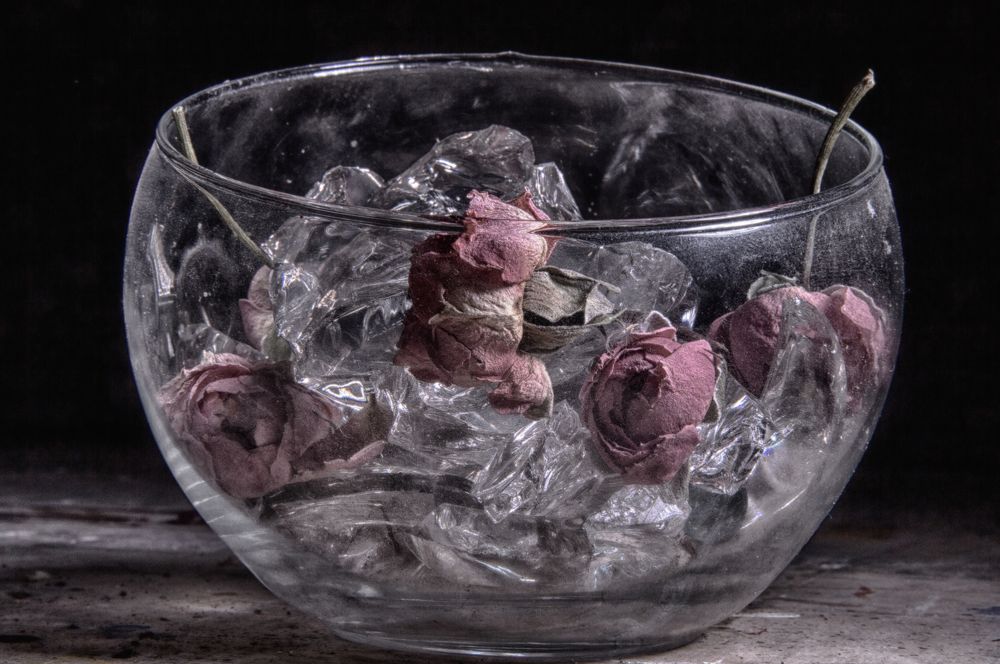 Photograph by Анна Липоткина