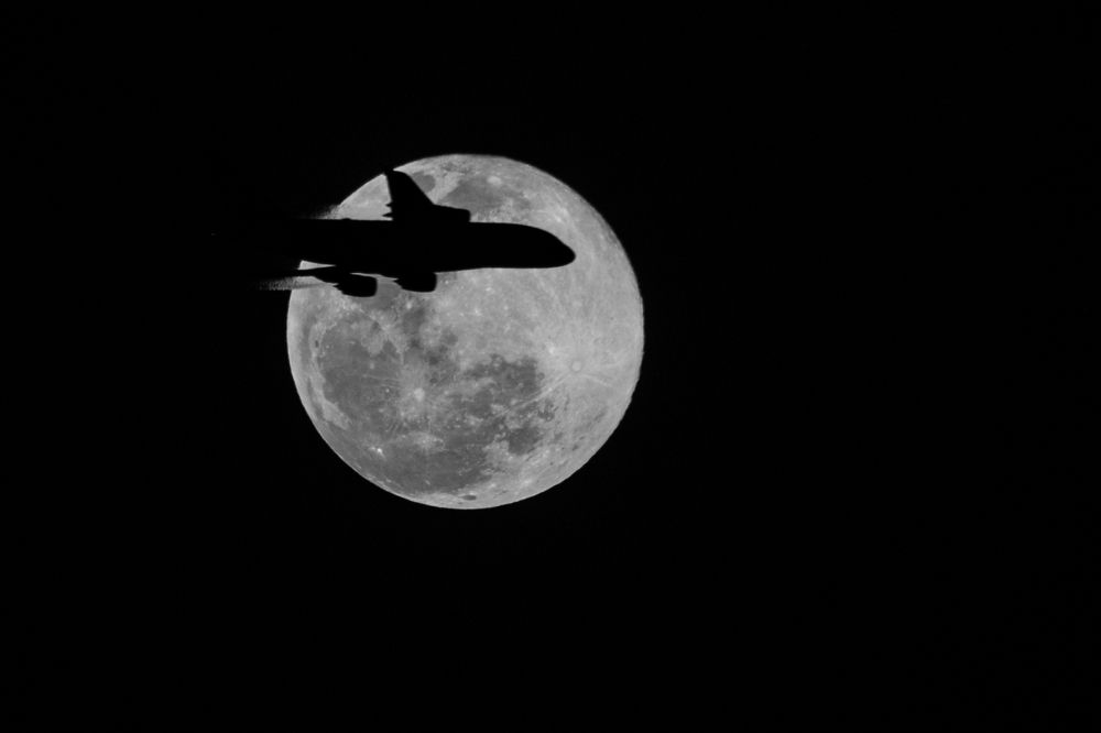 Flight Silhouette during full moon