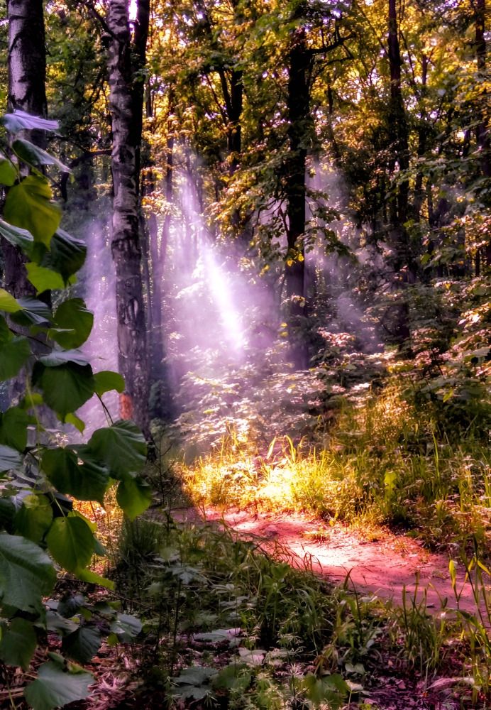 Луч солнца золотого