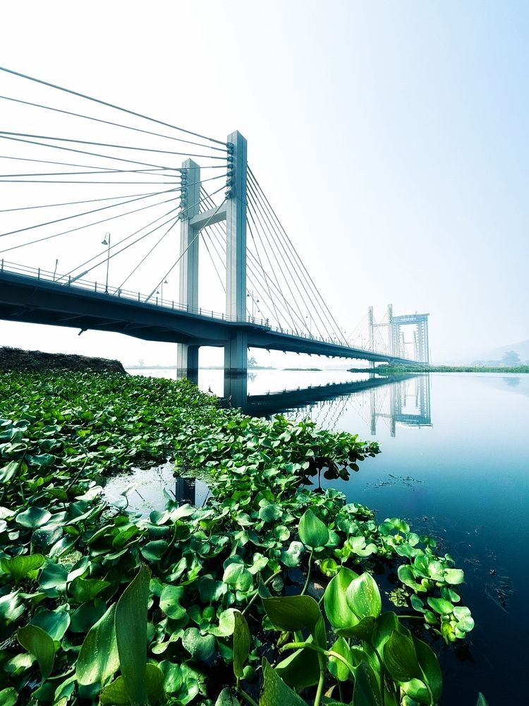 Фотография автора Tushar Randive