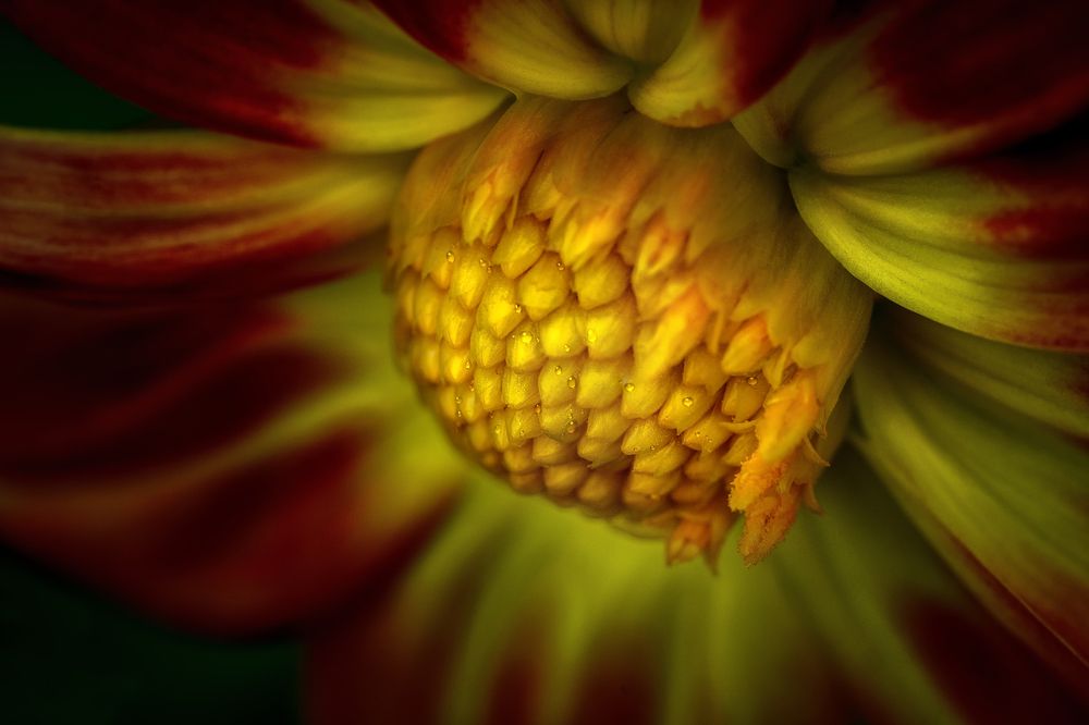 Фотография автора ЯR Ольга