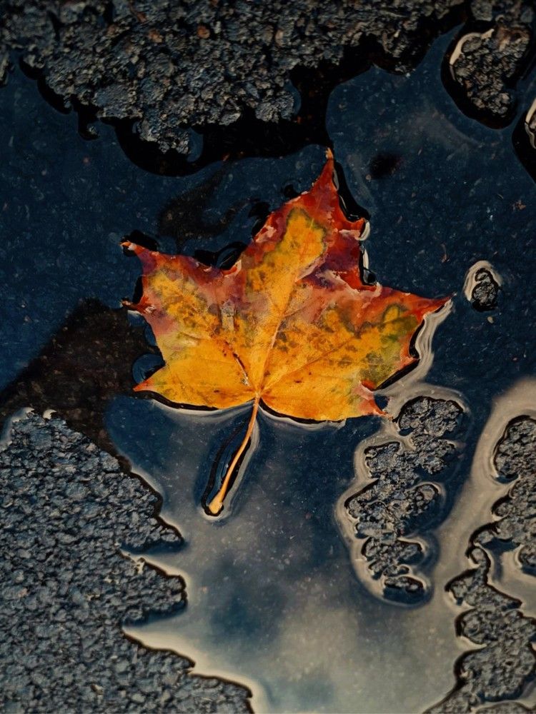 Photograph by Марина Хохрякова