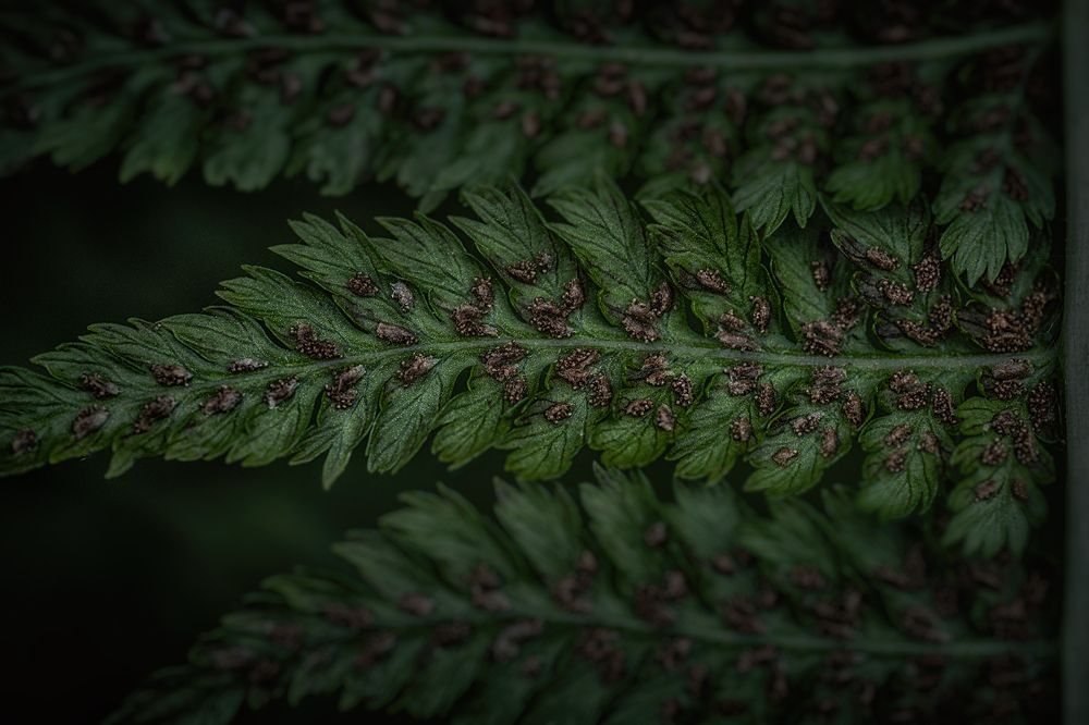 Фотография автора ЯR Ольга