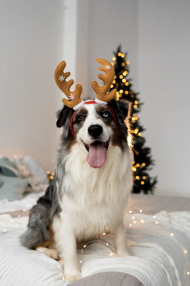 Photograph by Анна Полушина