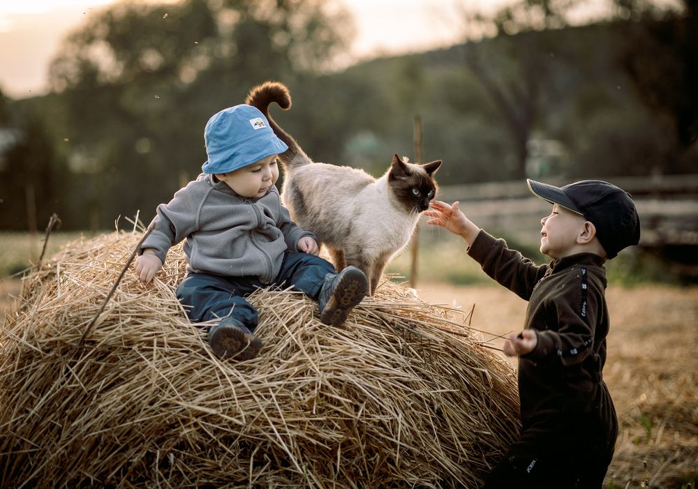 Photograph by Зульхиза Миндиахметова