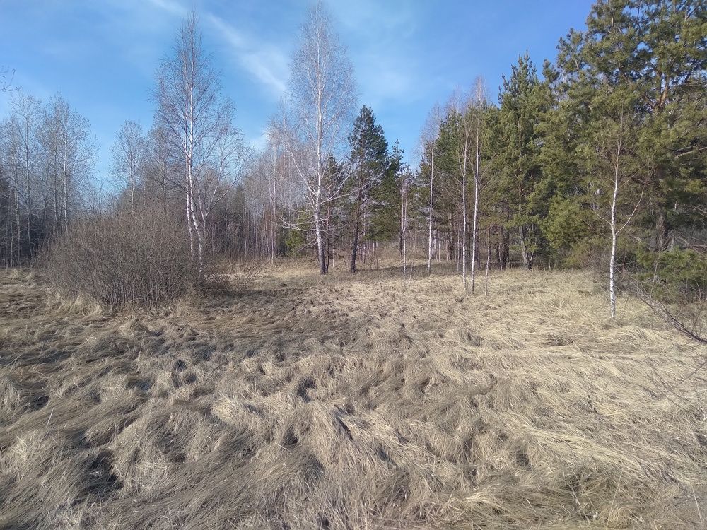 Photograph by Лида