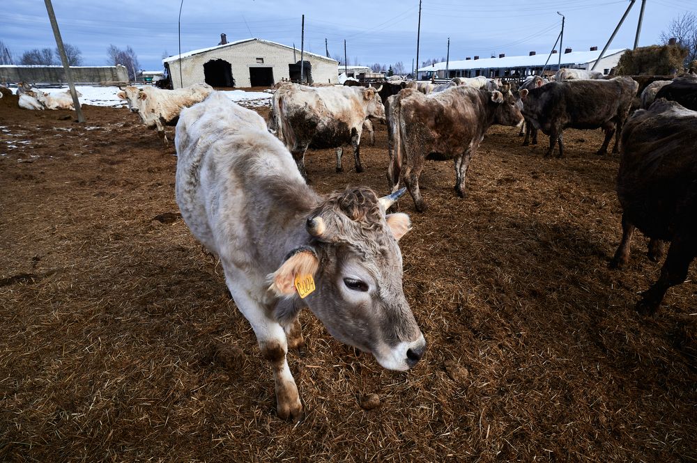 Photograph by Роман Зыков