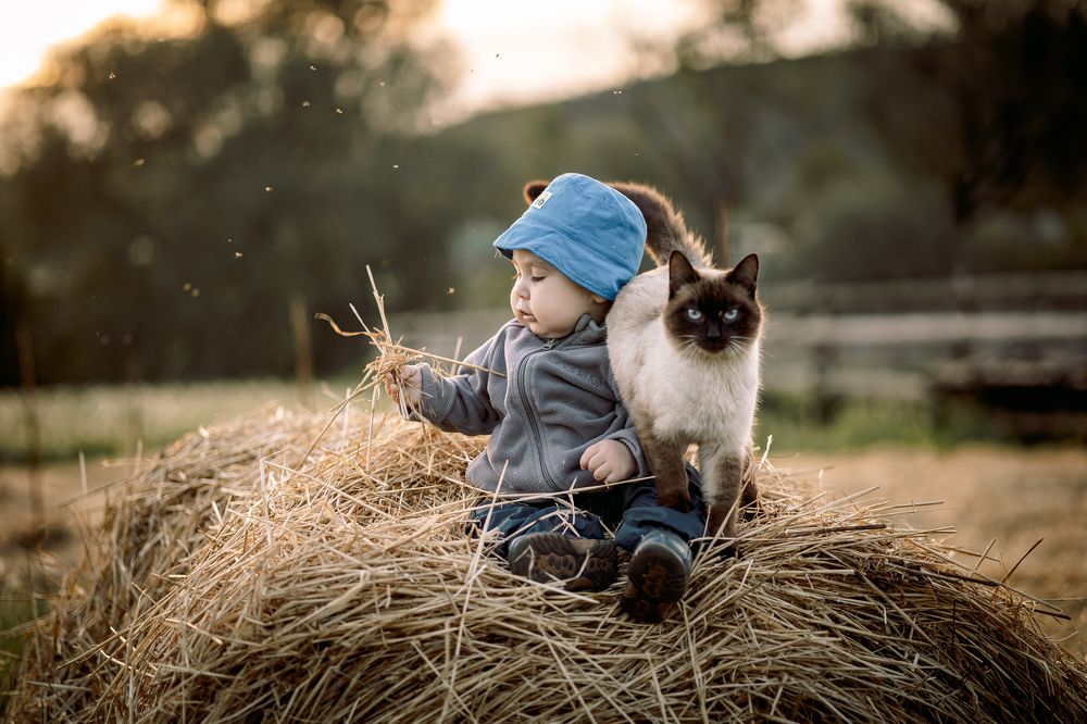 Photograph by Зульхиза Миндиахметова