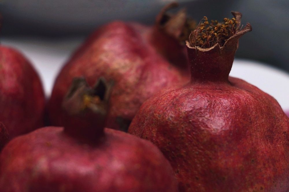 Photograph by safoura saeedi seta