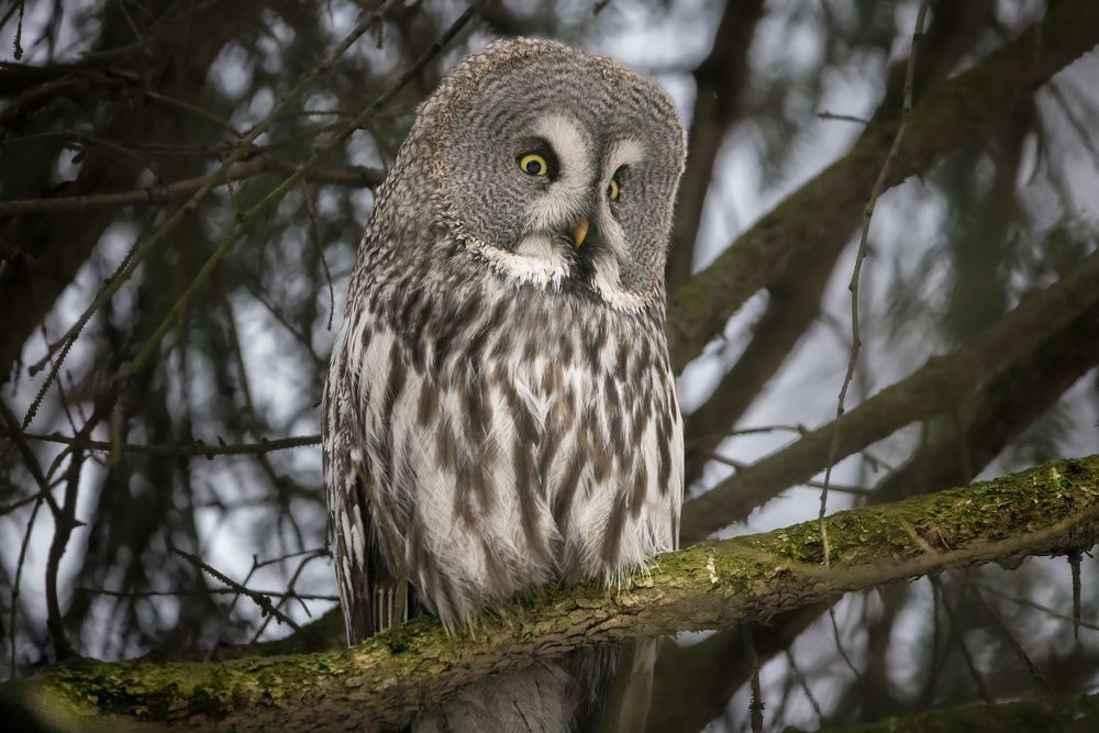 Photograph by Вячеслав Мельников