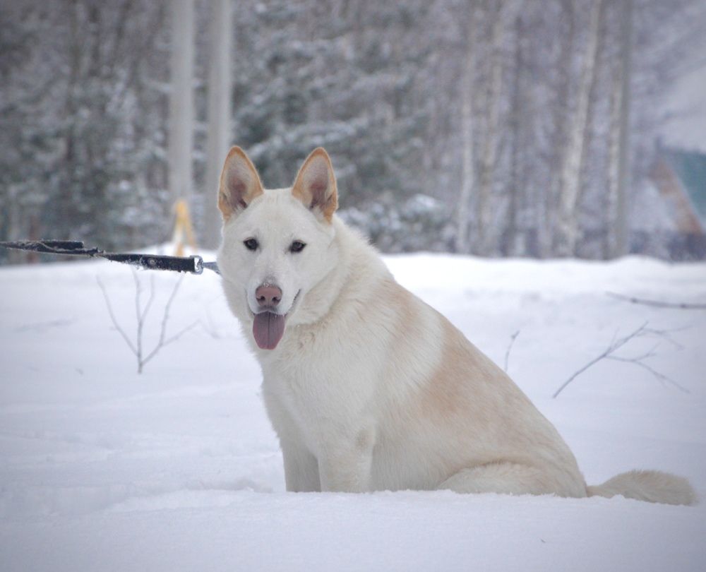 Photograph by Анастасия Рыжакова