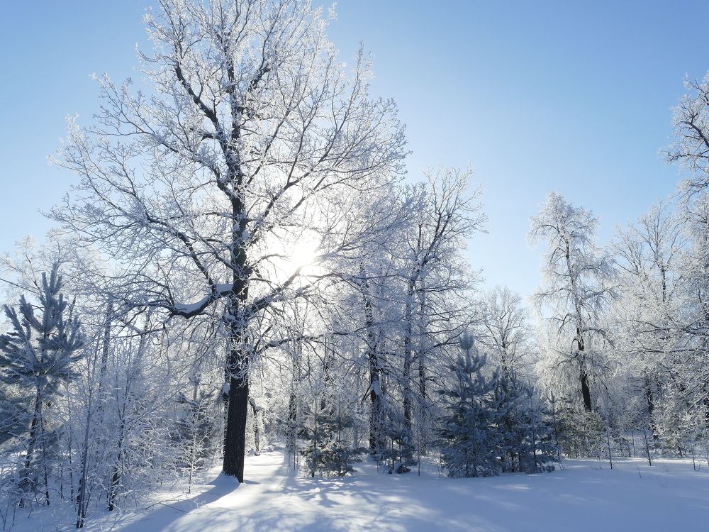 Photograph by Александр Кизим