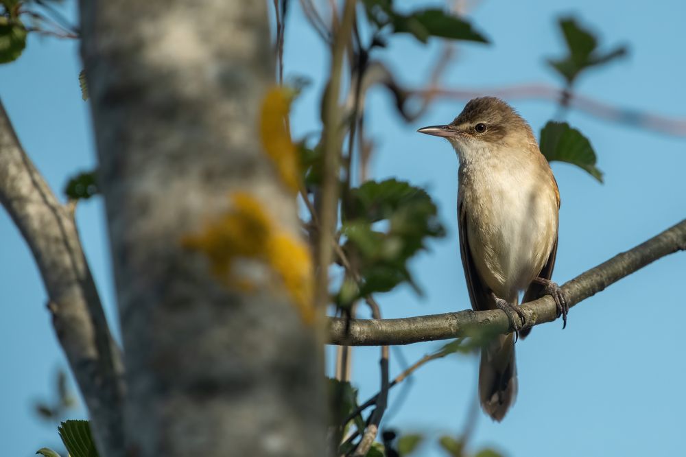 Photograph by Gatis Vilbrants