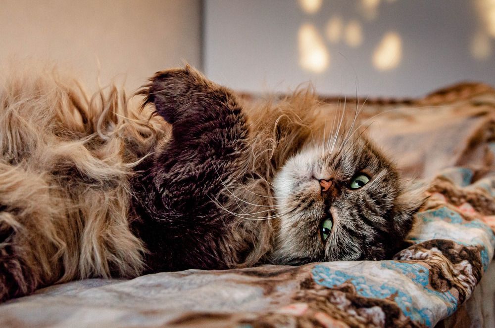 Photograph by Ангелина Ларина