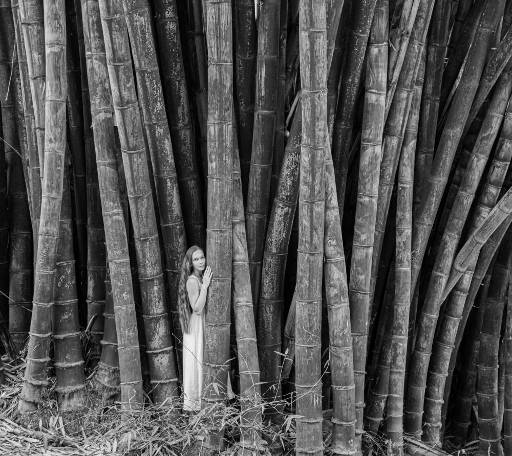 Photograph by Михаил