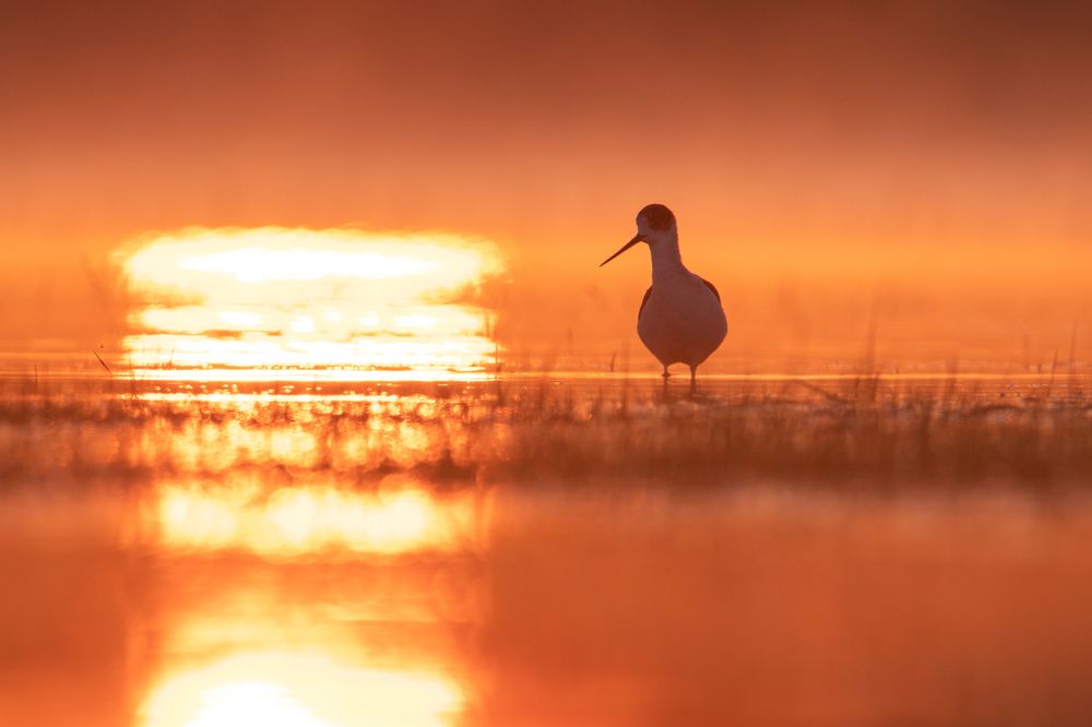 Photograph by Цветков Сергей