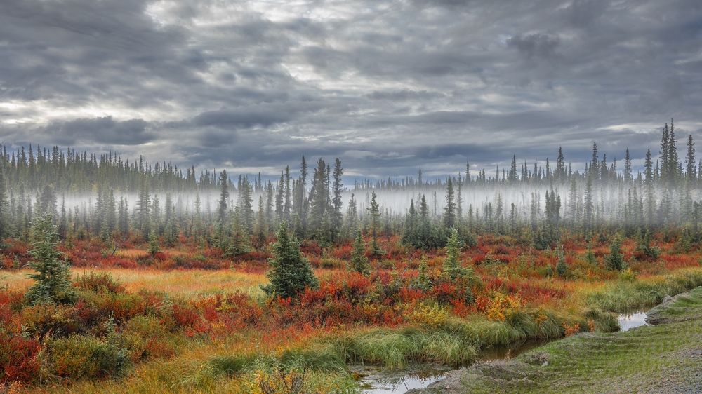 Photograph by Rocco Galati