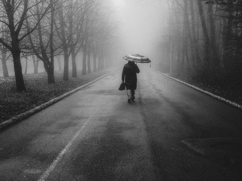 Photograph by 