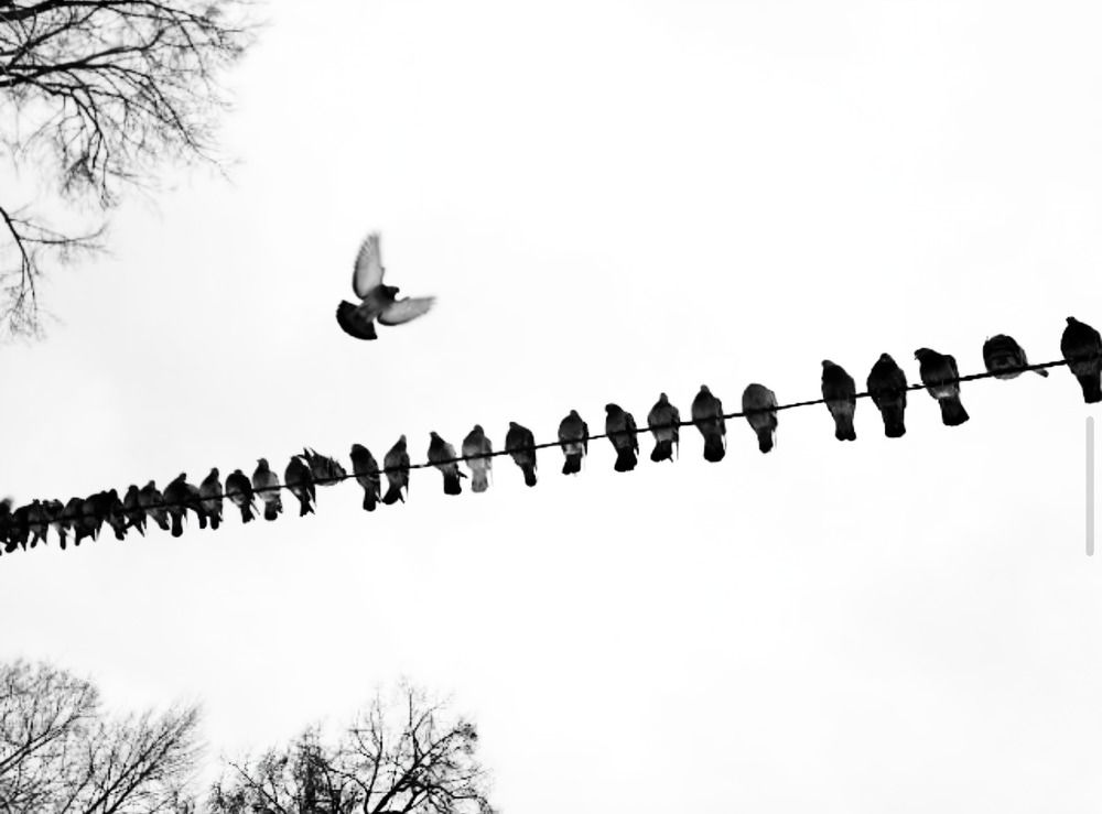 Photograph by Константин Дерюгин