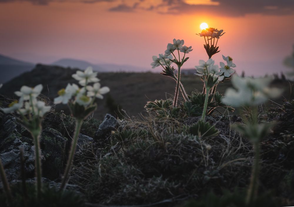 Photograph by Юлия