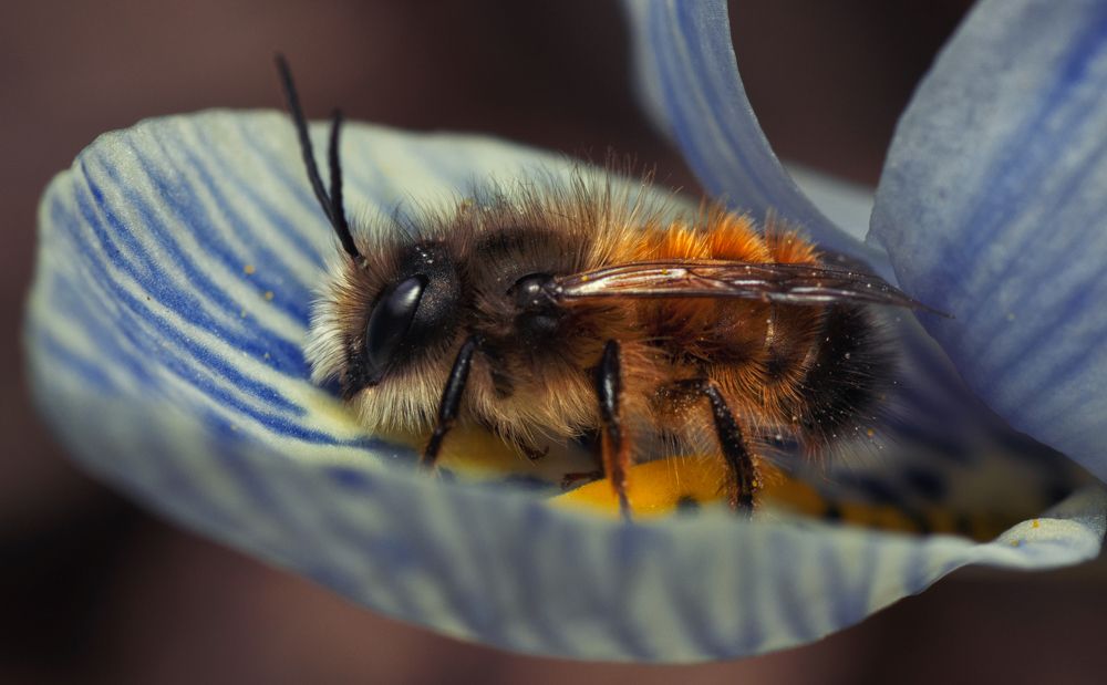 Photograph by Тараненко Анжелика