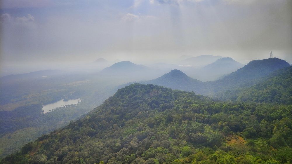 Фотография автора Maliyadewa Wadupola