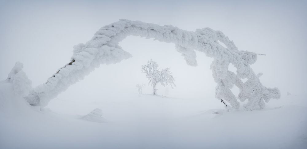 Photograph by Luboš Prchal