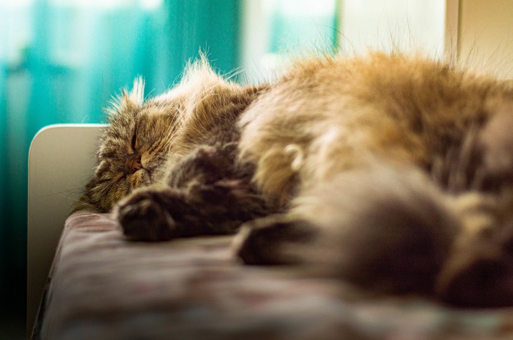 Photograph by Ангелина Ларина