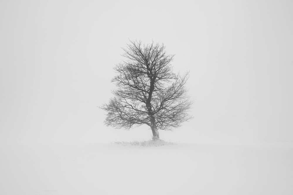 Photograph by Luboš Prchal