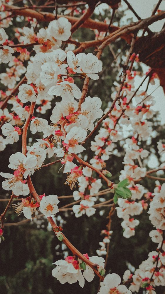 Photograph by Натали Озкан