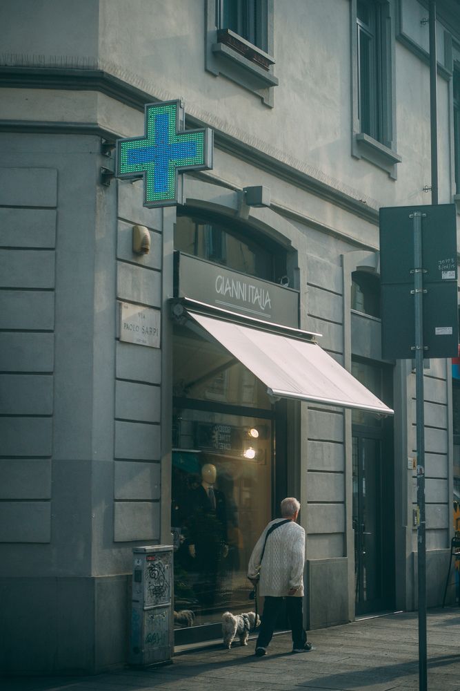 A dog can be your only loyal friend