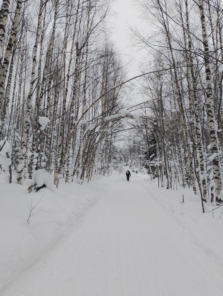 Photo #10403771