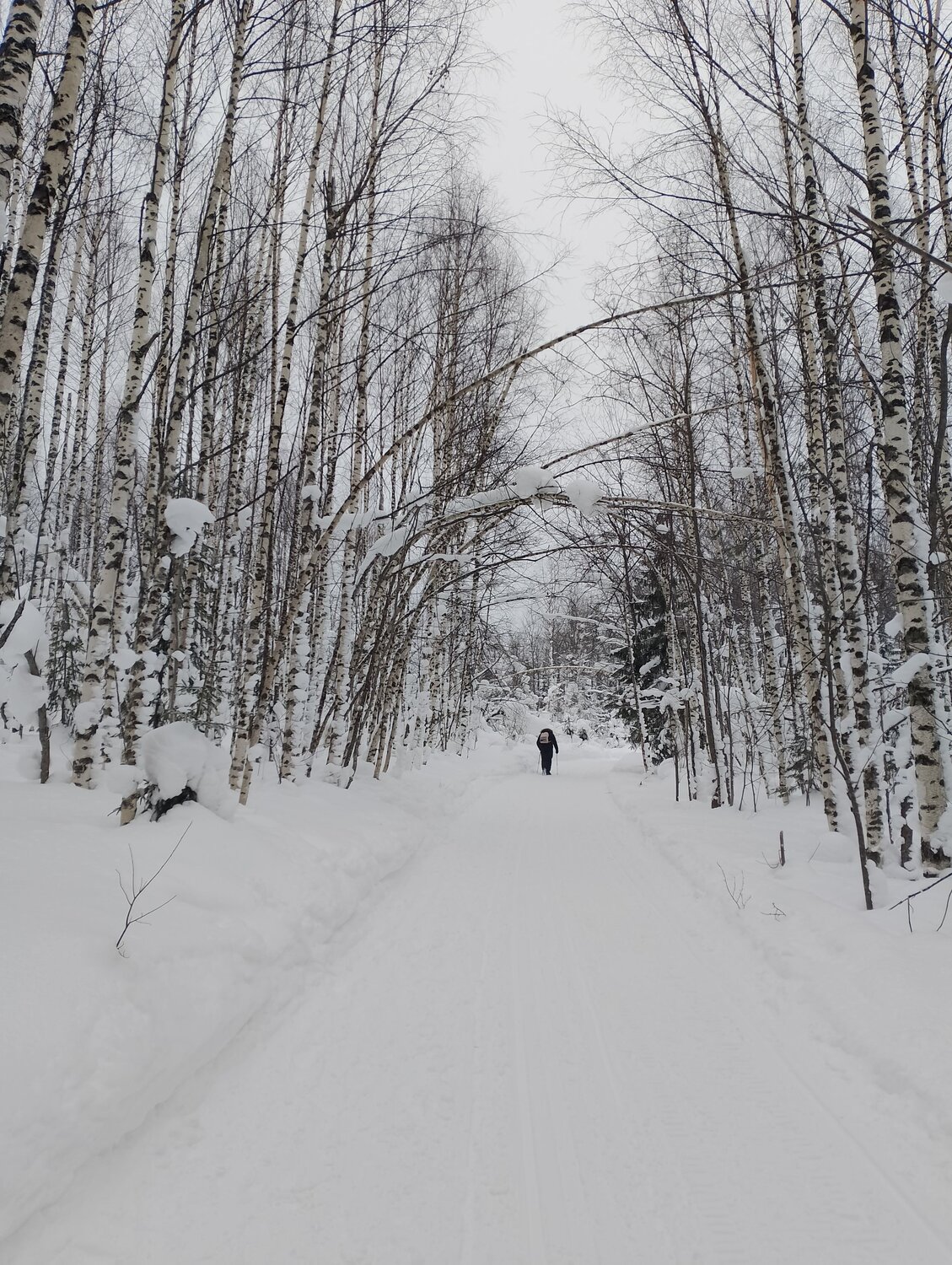 Photo #10403771